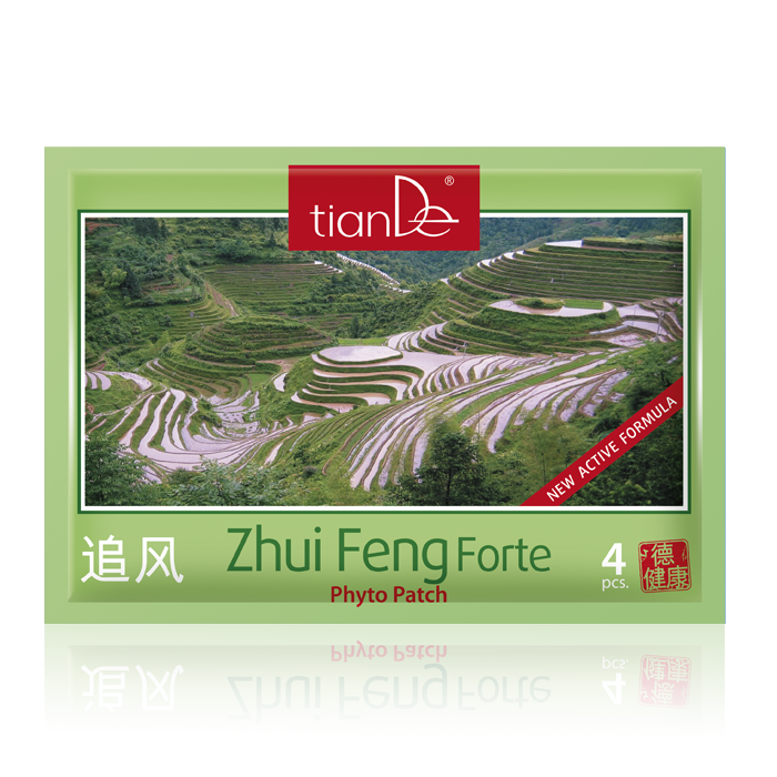 Zhui Feng Forte Cosmetic Körper Phyto Patch